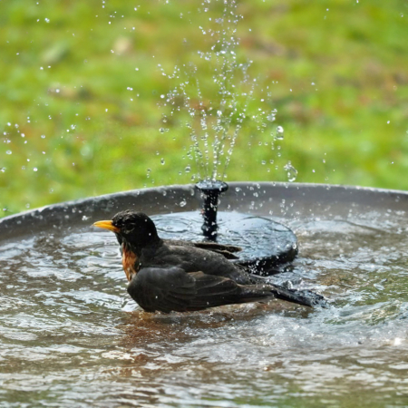 Leziter Fântână solară 13 cm [3]