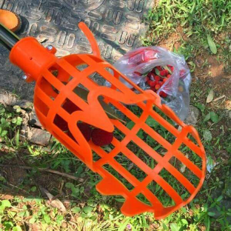 Leziter Instrument de cules fructe Kuster [1]