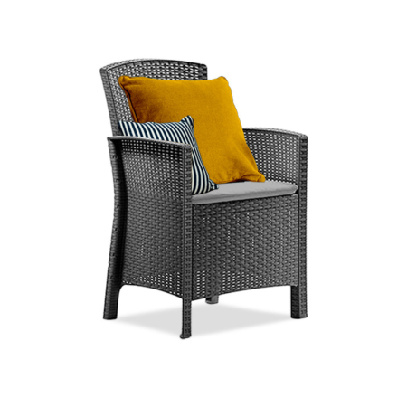 Produse temporar indisponibile - Leziter Lima fotoliu din rattan artificial cu brațe grafit