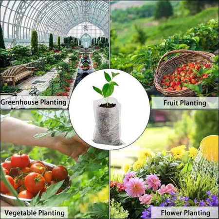 Leziter Saci Lookgrow pentru răsaduri [2]