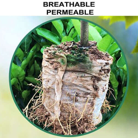 Leziter Saci Lookgrow pentru răsaduri [4]