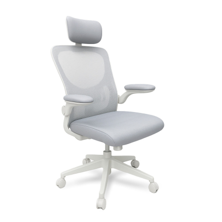 Mobilier - Leziter Scaun de birou ergonomic Flexo cu suport lombar