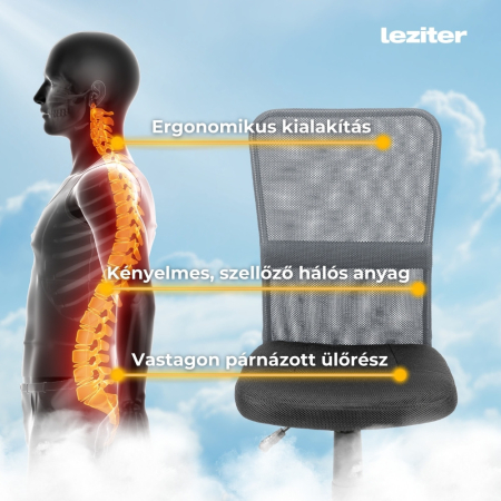 Leziter Scaun rotativ de birou [4]