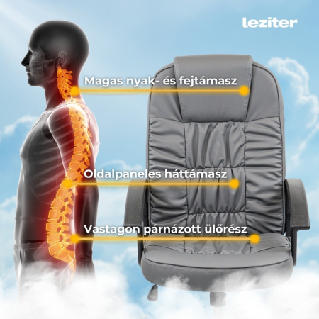 Leziter Scaun rotativ de birou Bristol [5]