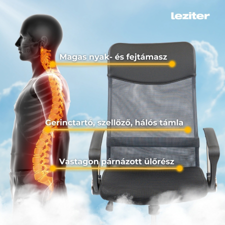 Leziter Scaun rotativ ergonomic de birou Fit [5]
