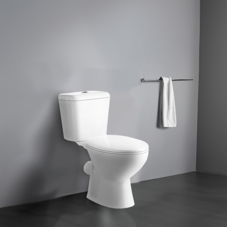 Leziter Toaletă monobloc Cleano cu evacuare spate și scaun [1]