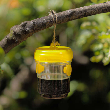 Accesorii grădină - Leziter Trappoly capcană suspendată pentru insecte