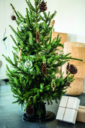 Mirpol Bază pentru brad de Crăciun cu rezervor de apă de 1,2 litri [1]