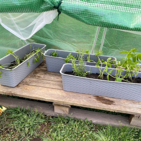 Mirpol Folie pentru pat germinativ de grădină 0,94x1,4x1,8 m [6]