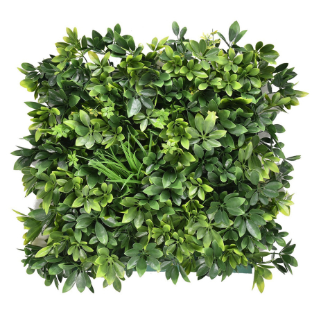 Panou de perete pentru plante de iarbă - Mirpol Perete verde din plastic Aralia 50x50 cm