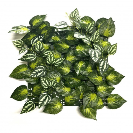 Panou de perete pentru plante de iarbă - Mirpol Perete verde din plastic Aureus 33x33 cm