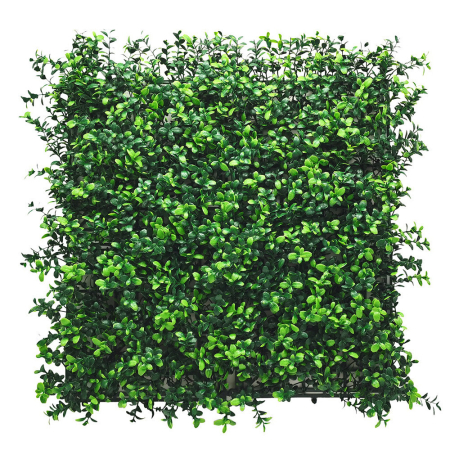 Mirpol Perete verde din plastic buxus 50x50 cm [0]