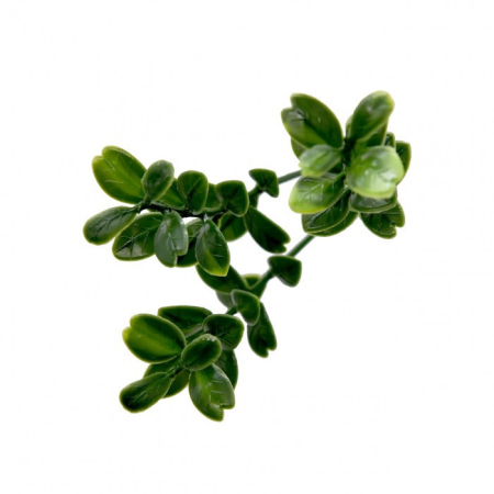 Mirpol Perete verde din plastic buxus 50x50 cm [1]
