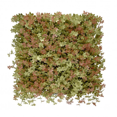 Panou de perete pentru plante de iarbă - Mirpol Perete verde din plastic Jiaogulan 50x50 cm