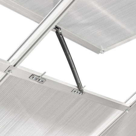 Mirpol Seră din policarbonat 250 x 550 x 124/205 cm [4]