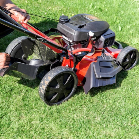 Solo Mașină de tuns iarba 5231 SP-H [3]