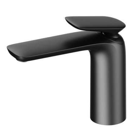 Robinet de chiuvetă - Wellis Robinet pentru chiuvetă Raven negru mat