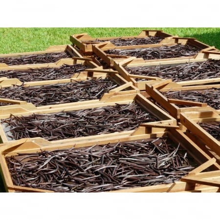 Depozit B2B - Depozit - Păstăi de Vanilie Gourmet din Madagascar - Calitate A , 100% Naturală