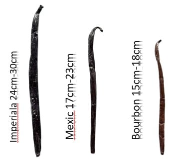 Păstăi de Vanilie Gourmet din Madagascar –Mexic - Calitate A , 100% Naturală (17–23 cm) [9]