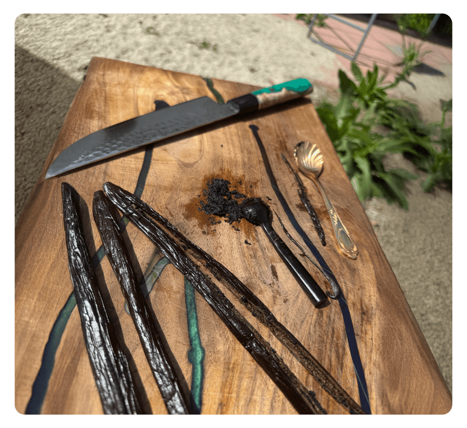 Culeasă cu grijă, vanilia păstrează esența naturii pure