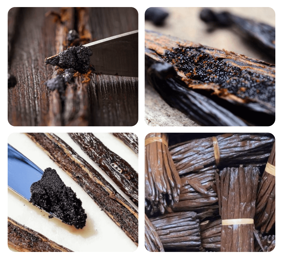 Acolo unde ia naștere aroma pură a vaniliei