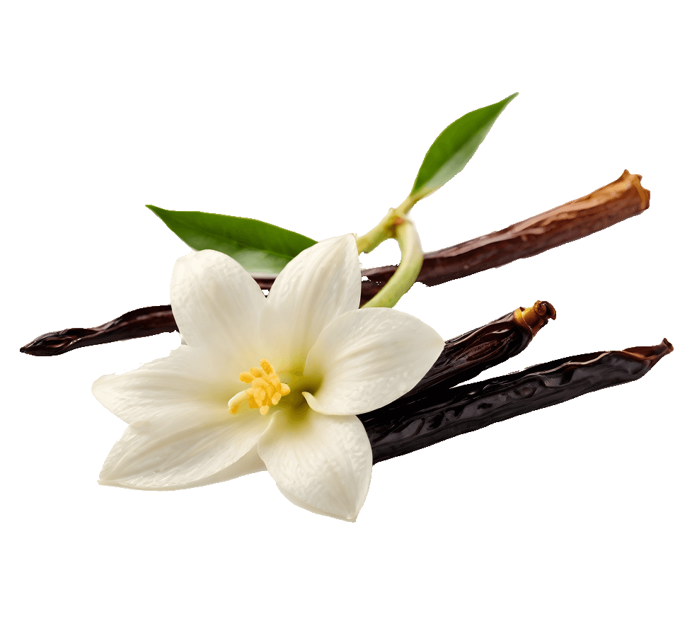 Vanilia noastră nu este doar un ingredient,este o experiență.