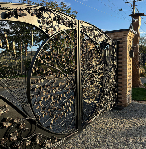 Porți și Garduri - Poartă auto și gard din fier forjat cu design artistic