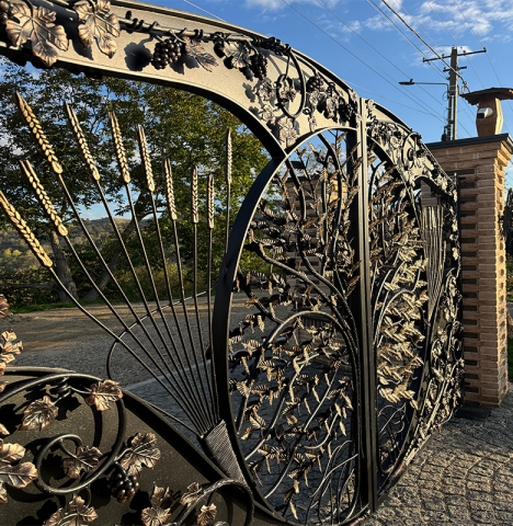 Poartă auto și gard din fier forjat cu design artistic [2]