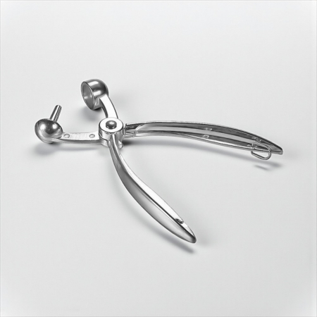 Clește inox pentru scos sâmburi cireșe vișine și măsline bucătărie [1]