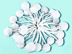 Accesorii corturi - Set 25 Bucati Intinzatoare Elastice Scurte