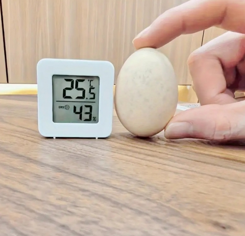 Termometru / Higrometru Digital [3]