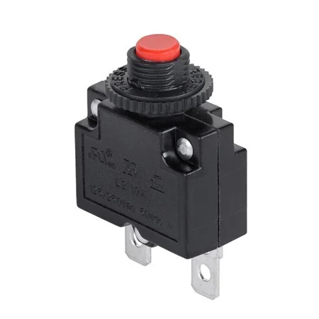 Accesorii pompe si hidrofoare - Protectie termica reset 10 A