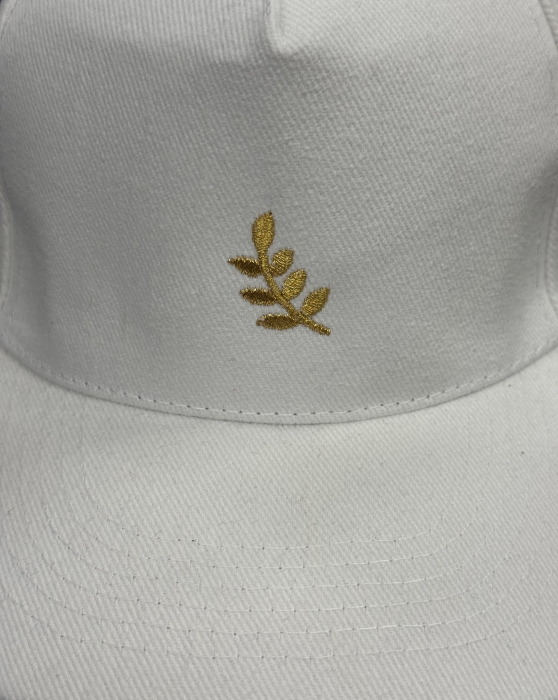 Sapca alba acacia [2]