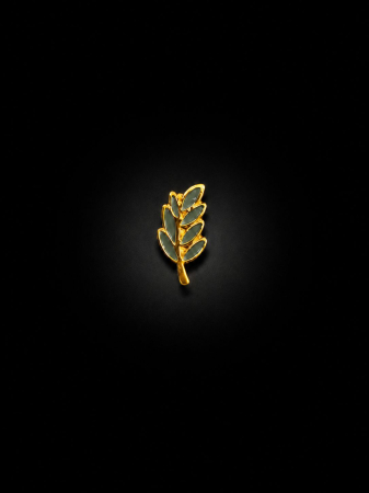 Insigne - Insigna Ramura de Acacia verde