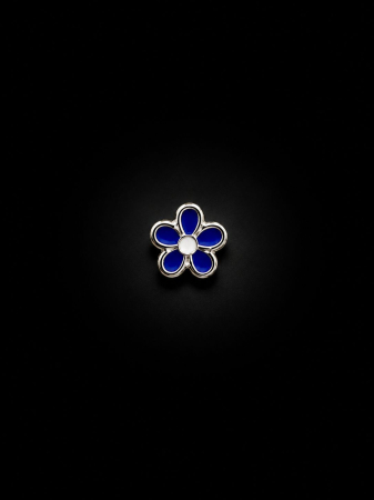 Insigne - Insigna  Floare de nu ma uita albastra
