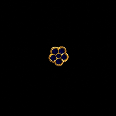 Insigne - Insigna Floare de nu ma uita