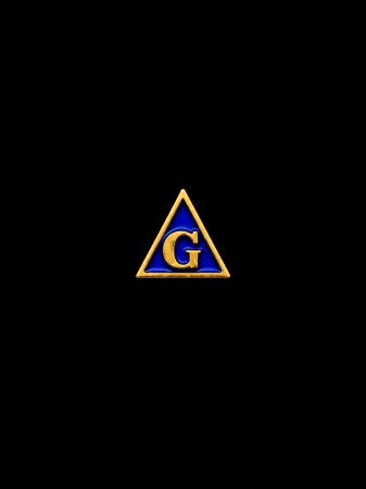 Insigne - Insigna   Delta G
