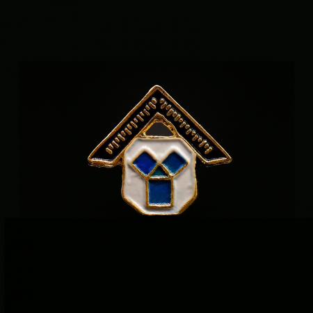 Insigne - Insignă Echer / MVT (alb-albastru, auriu)