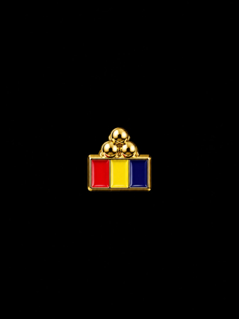 Insigne - Pin Tricolor
