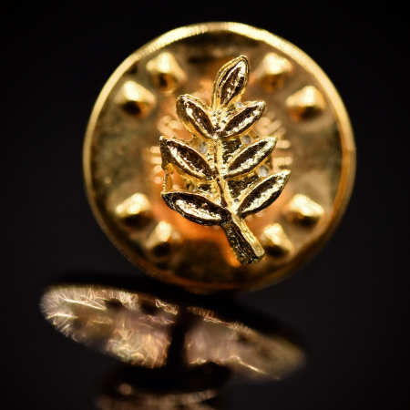 Insigne - Insignă Ramura de Acacia