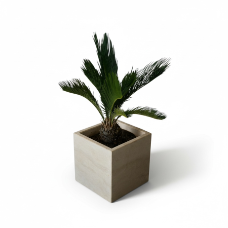 Decorațiuni - Ghiveci travertin