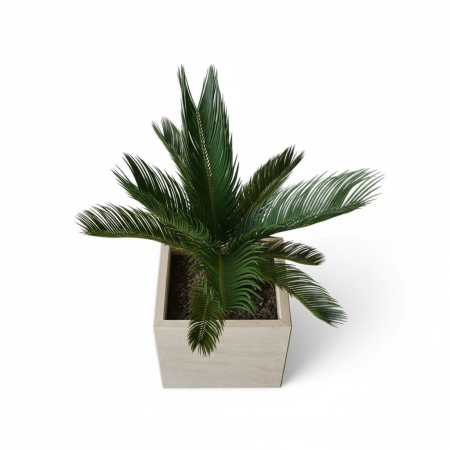 Ghiveci travertin [1]