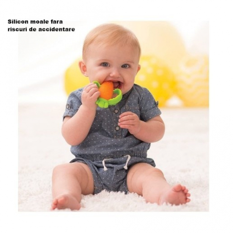 Jucărie Dentiție Bebeluși – Morcov din Silicon, Non-Toxic, Fără BPA [2]