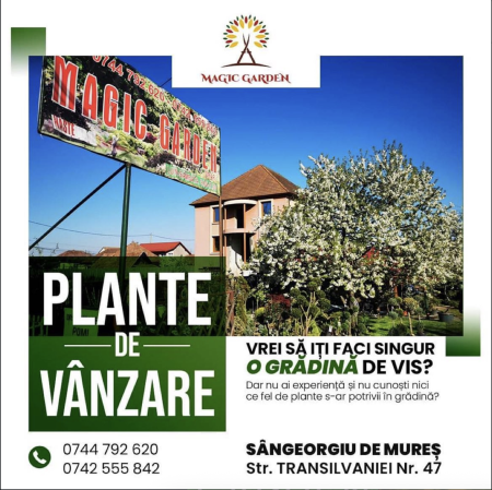 SERVICII - Denumire produs - Copie