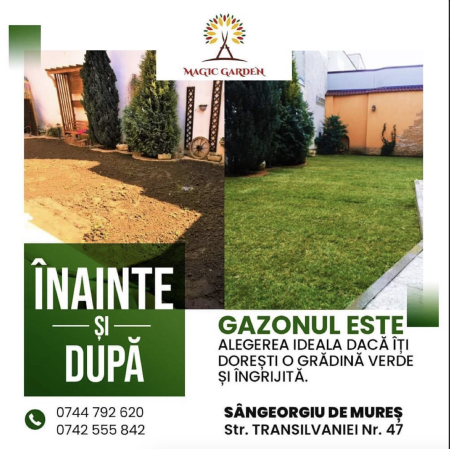 SERVICII - Denumire produs - Copie - Copie