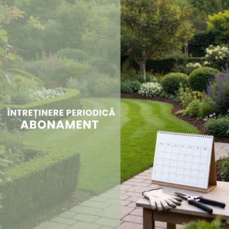 SERVICII - ÎNTREȚINERE PERIODICĂ ( ABONAMENT )