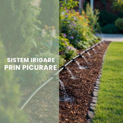 SISTEME AUTOMATE DE IRIGARE - Irigare prin picurare – straturi și gard viu | Magic Garden Târgu Mureș