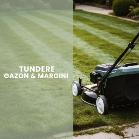 SERVICII - TUNDERE GAZON & MARGINI