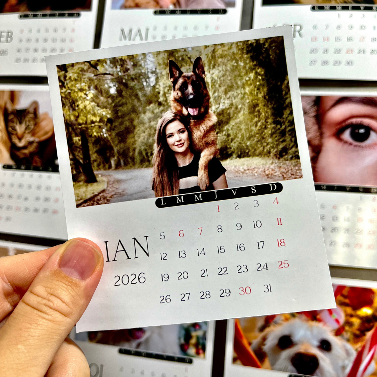 Calendar BestFriends- 12 poze magnetice personalizate [2]