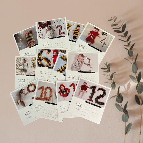 Calendare &  Kind Reminder - Calendar Baby -12 poze magnetice personalizate